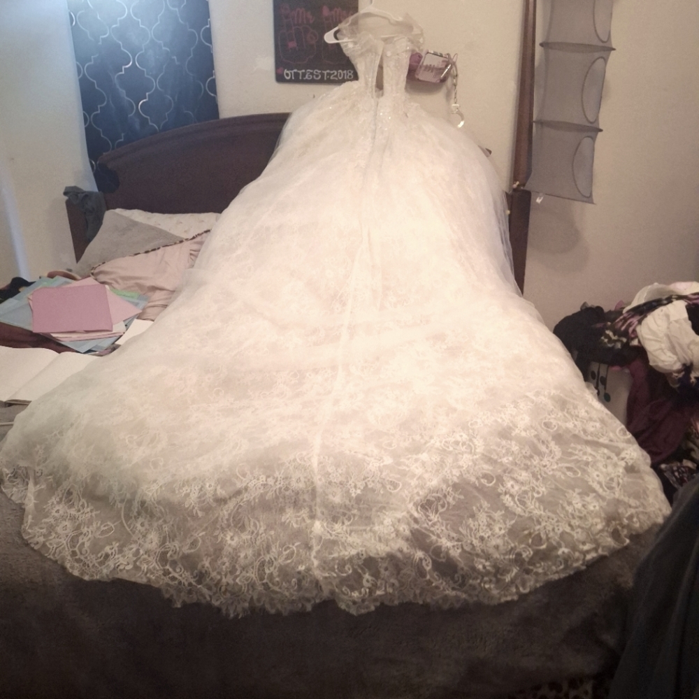 Linhnga Ball Gown Wedding Dress (custom)